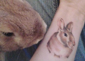 65 tatuagens de coelho em desenhos fofos e marcantes