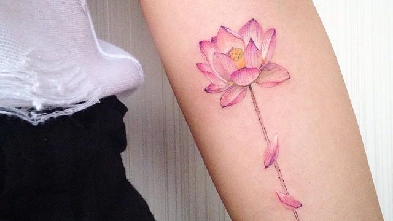 Featured image of post The Best 18 Tatuagem Feminina Flor De Lotus Com Frase Nas Costas