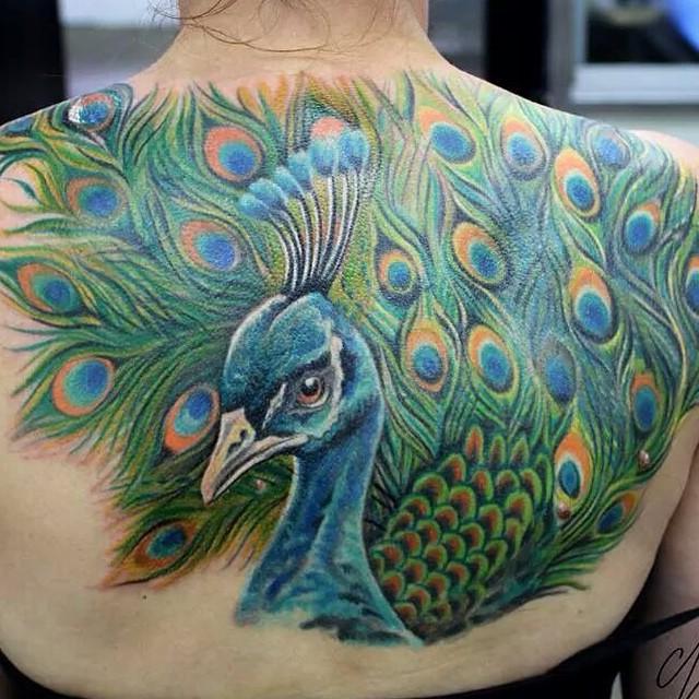 Tatuagem Pavão colorido na coxa. Tatuagem feminina. 