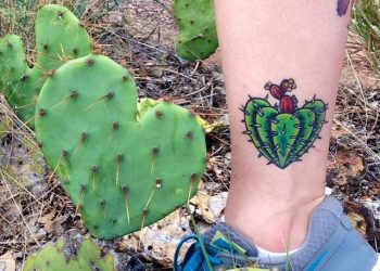 60 tatuagens de cactos dessa plantinha que sobrevive ao clima desértico