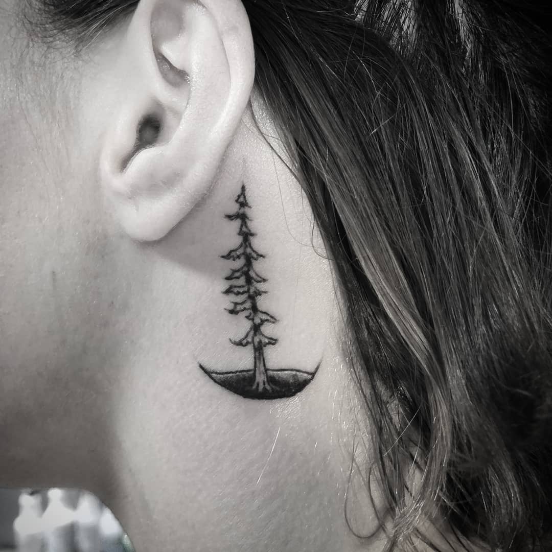 Tatuagem de pinheiro atrás da orelha.