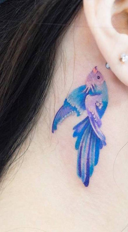 E esse passarinho colorido por trás da orelha?