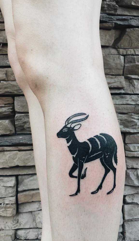 Nesse caso, uma boa opção é apostar na imagem de animal.