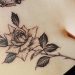 Tatuagem na barriga: 60 ideias e inspirações para você conferir
