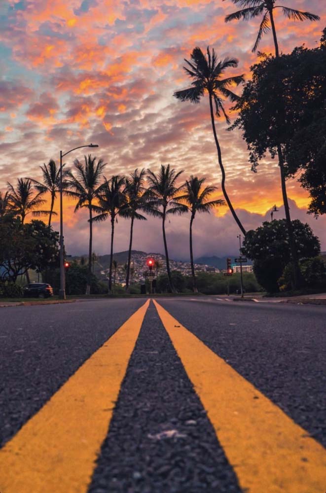 Confira a profundidade e o amarelo vibrante presente nessa foto tumblr de paisagem, clicada próxima ao asfalto.